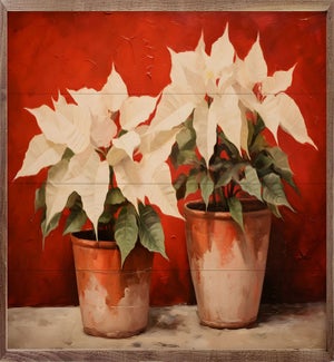 Pot Of Poinsettia II By Petals Prints Designs